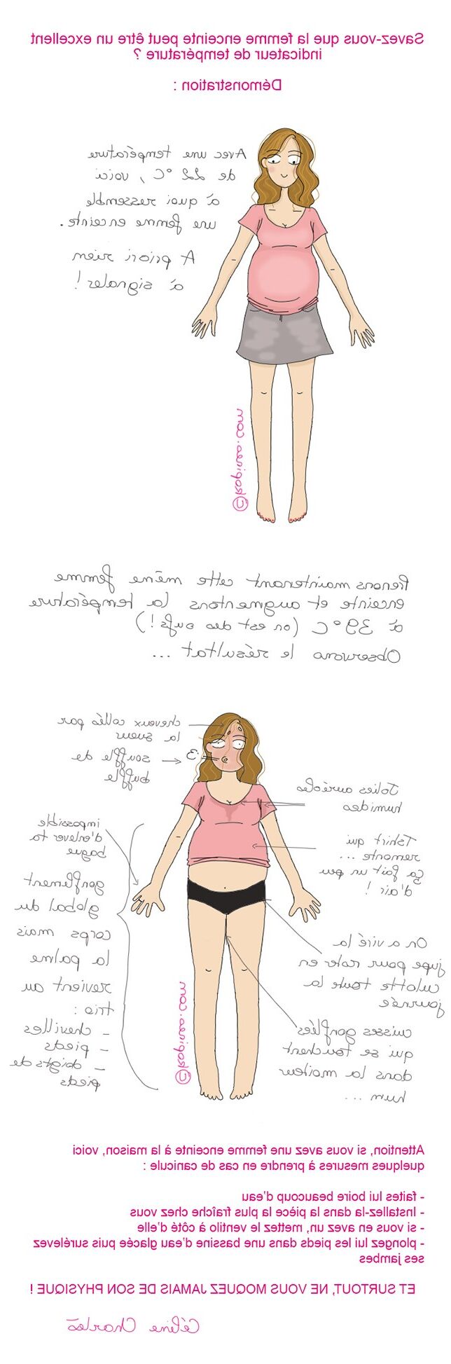 Pregnant drawings (french)