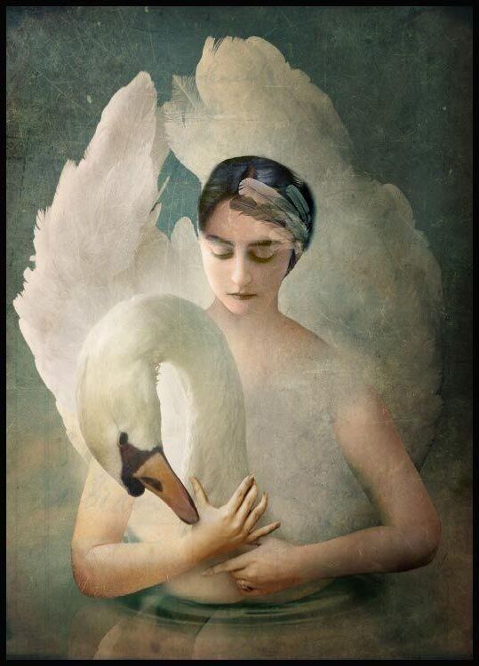 Leda and the Swan