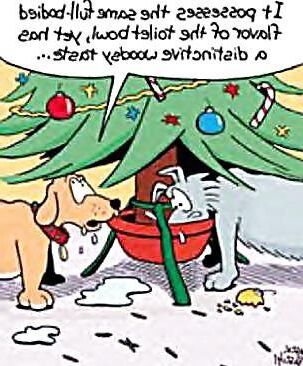 Humor de Natal.????