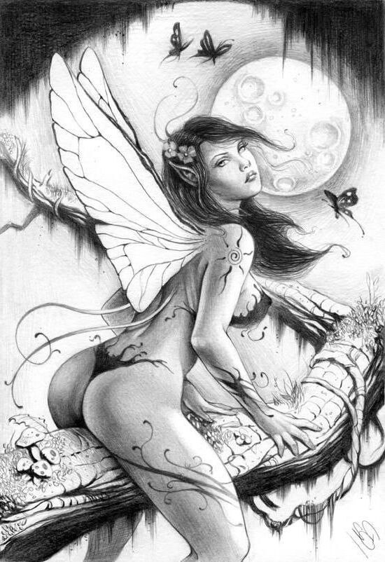 Pinup Collection 