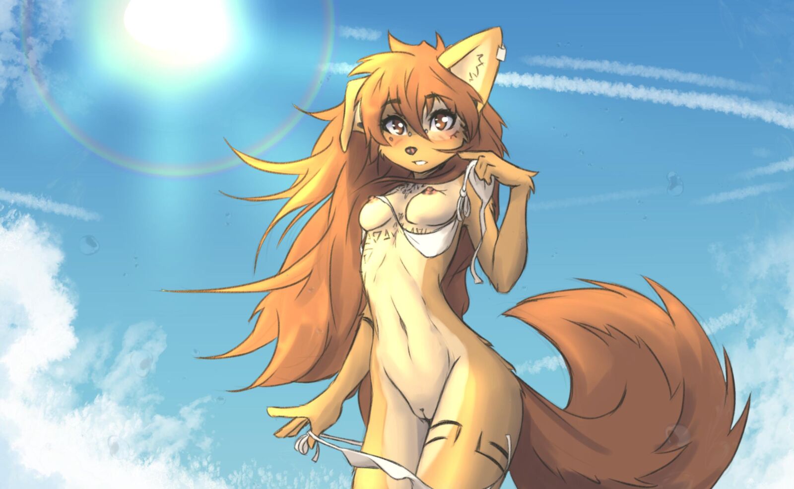 Apogee 
