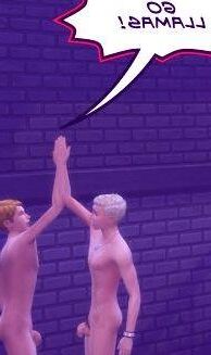 Go Llamas