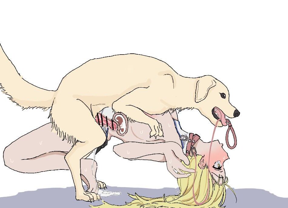 Pets