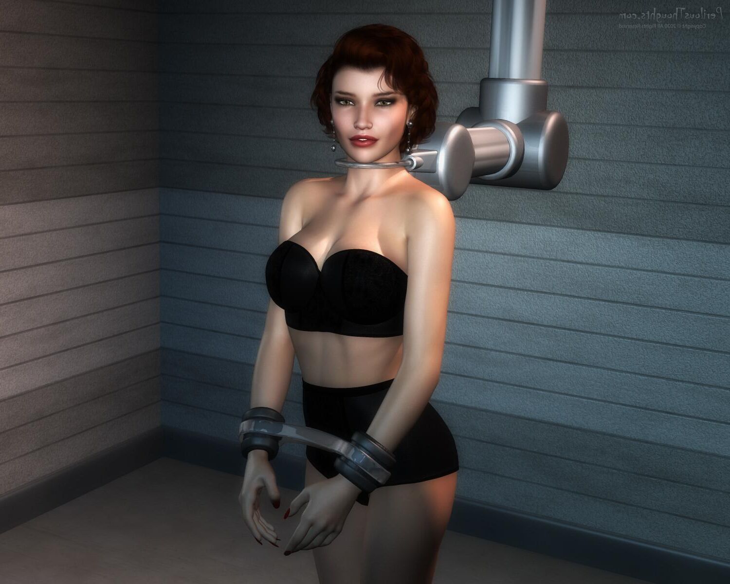 BDSM Cartoons