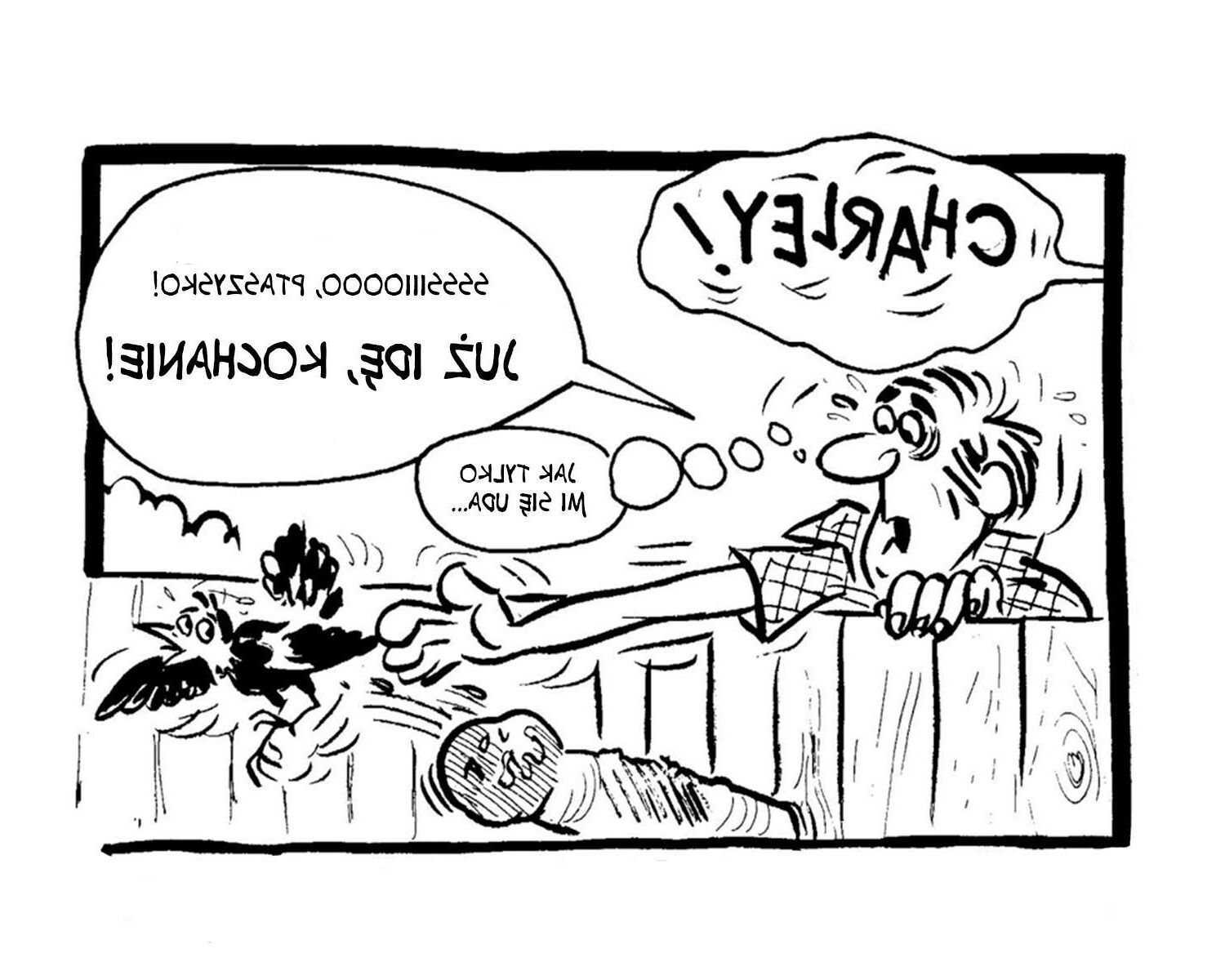 Czterio Znudzone [Bardzo Znudzone] GospoDnie Domowe CZ. 
