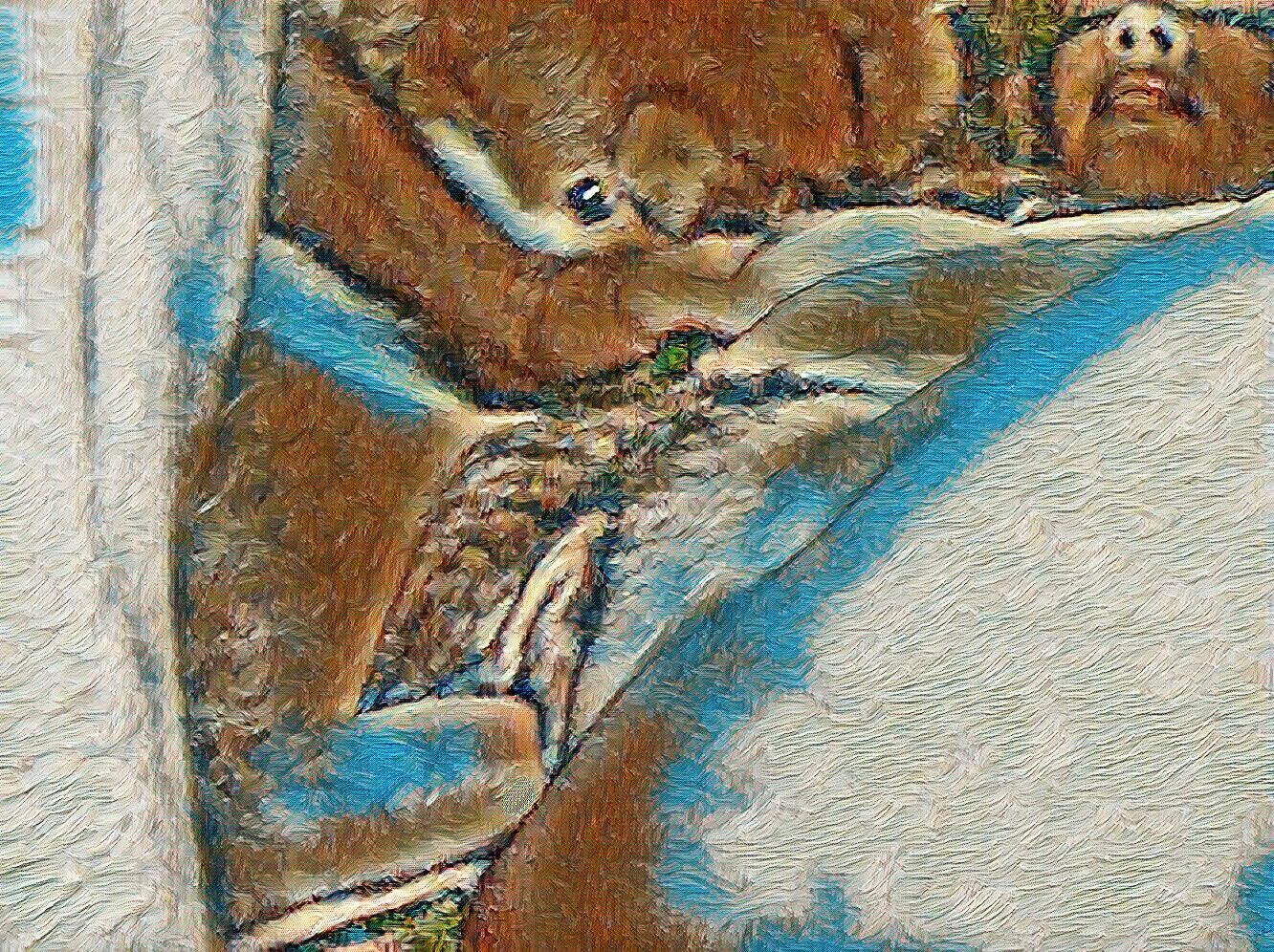モンツスター