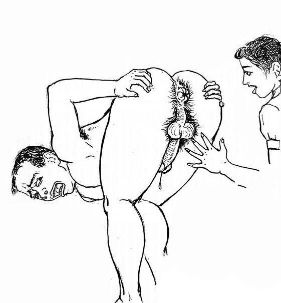 Daikoumon (Anal Sex University) femdom art