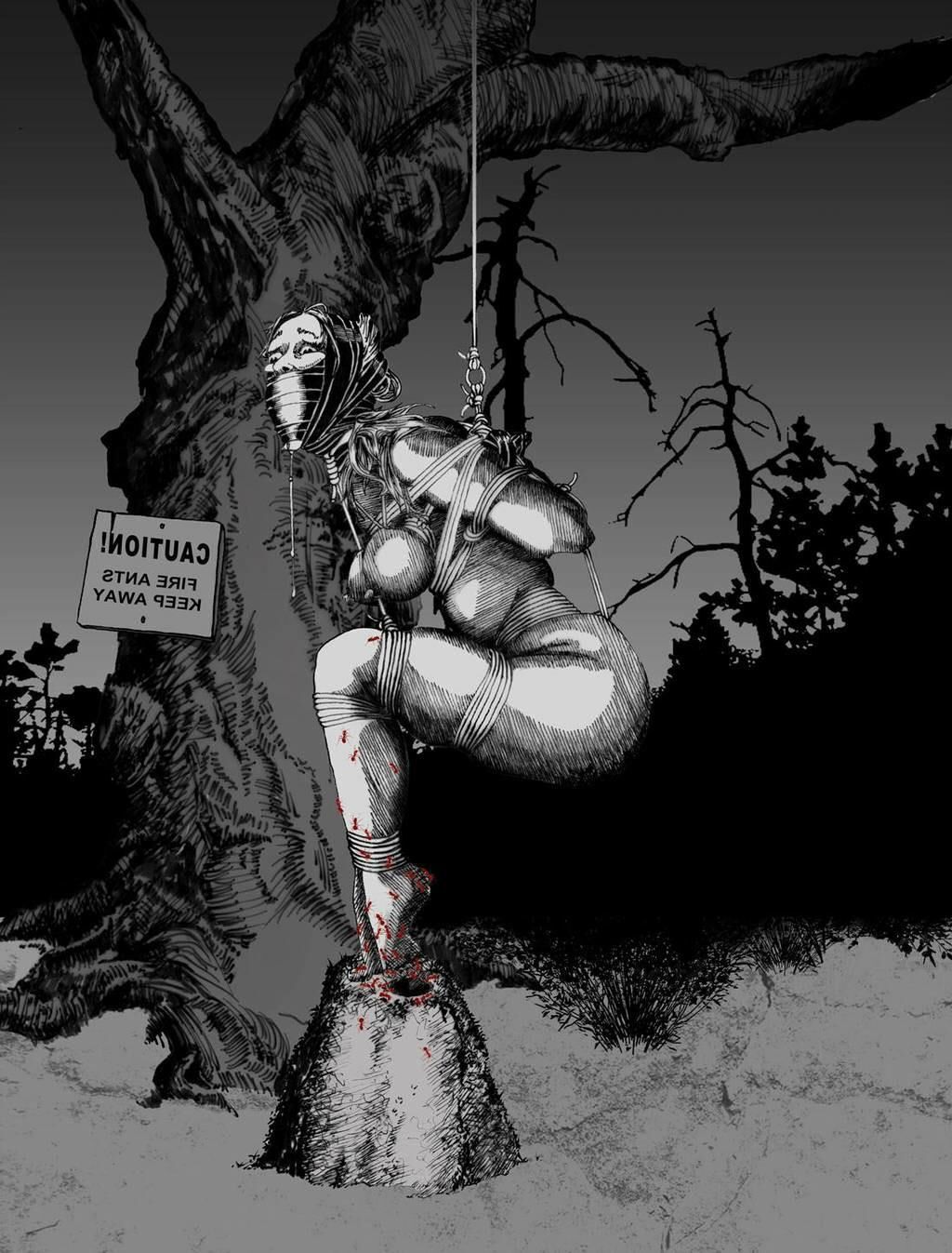 Extreme BDSM art by Danlaura