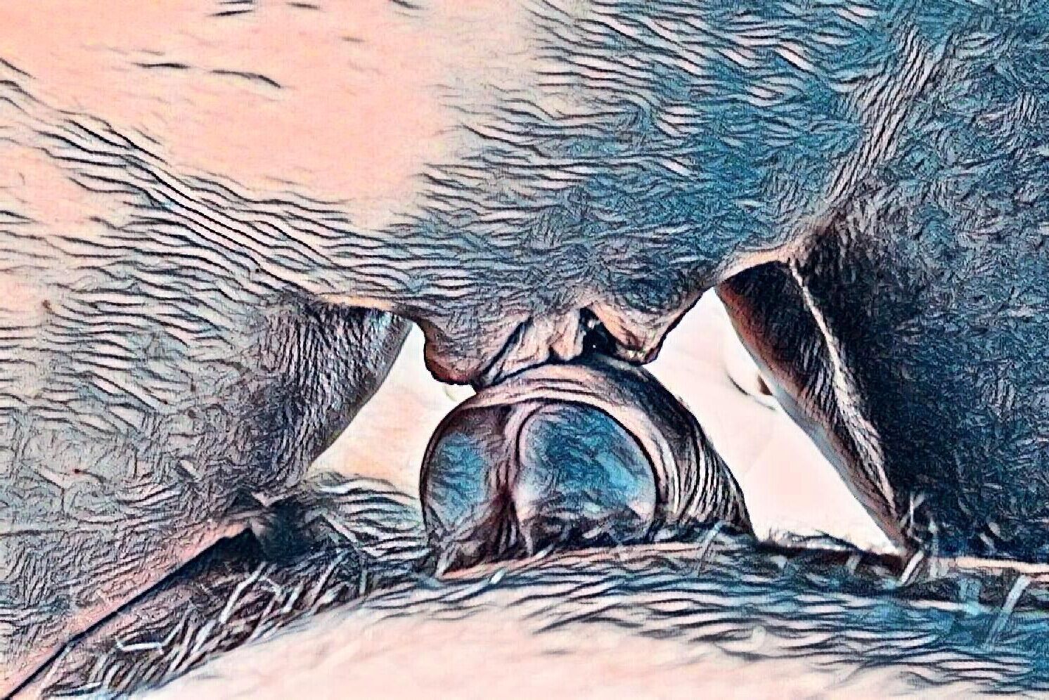 Dreaming of taking a closer look#