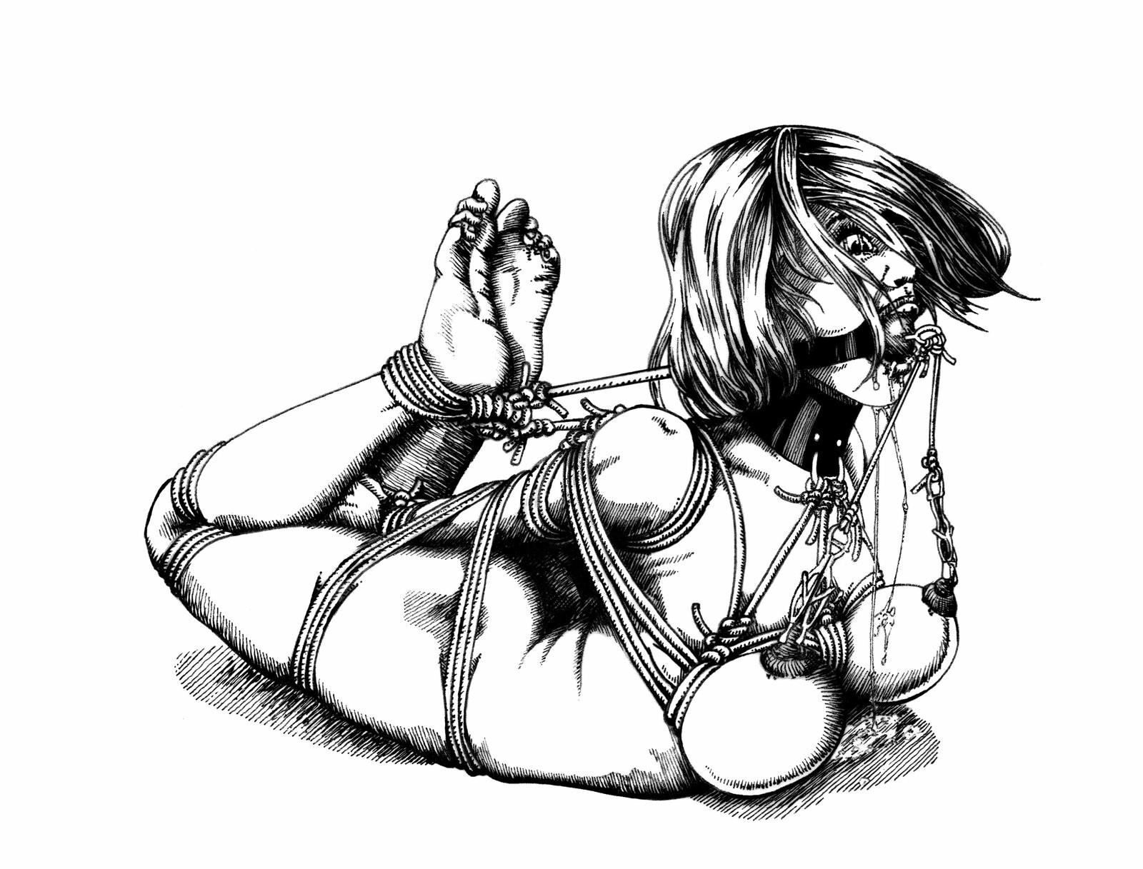 Extreme BDSM art by Danlaura