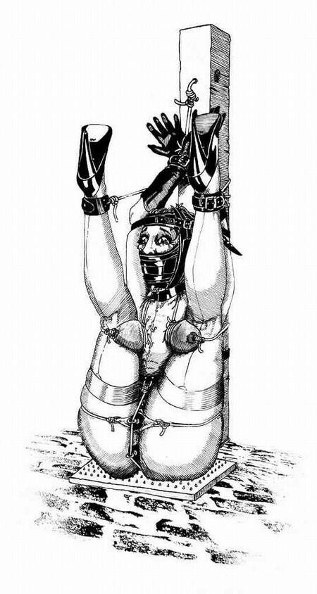 Extreme BDSM art by Danlaura