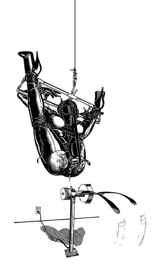 Extreme BDSM art by Danlaura