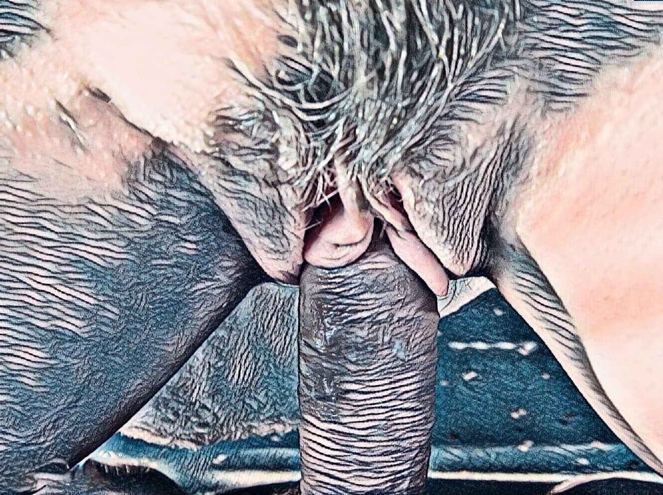 Dreaming of taking a closer look#