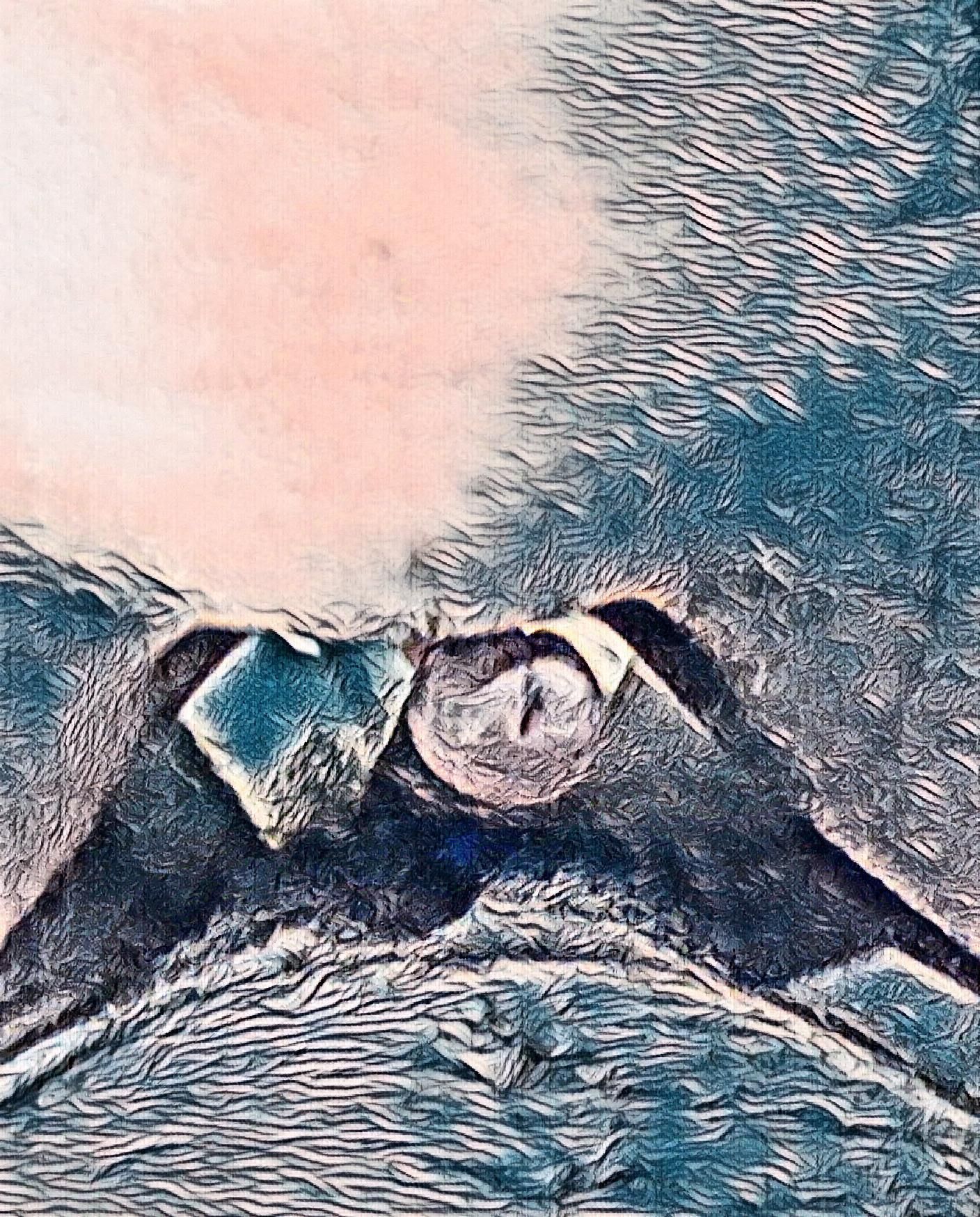 Dreaming of taking a closer look#