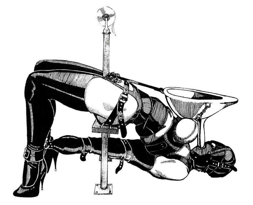 Extreme BDSM art by Danlaura