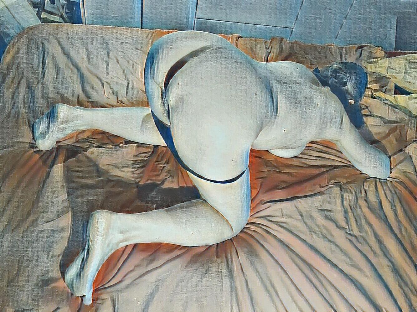 Waiting for a doggy#