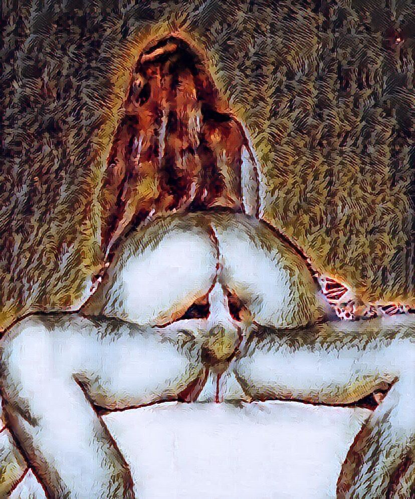 Dreaming of hot sex#