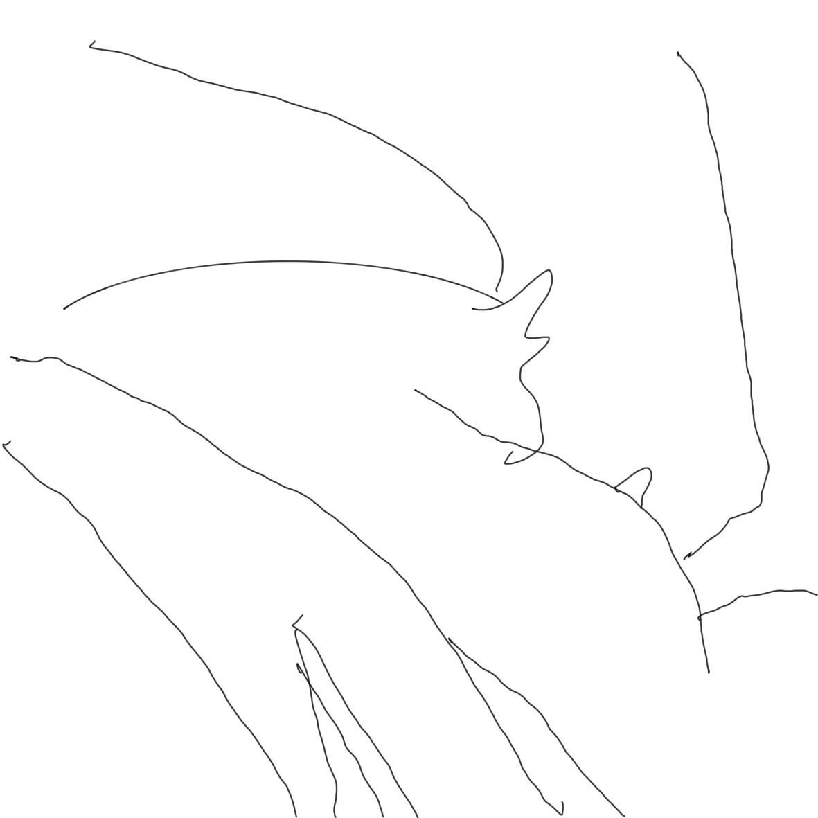スケッチII
