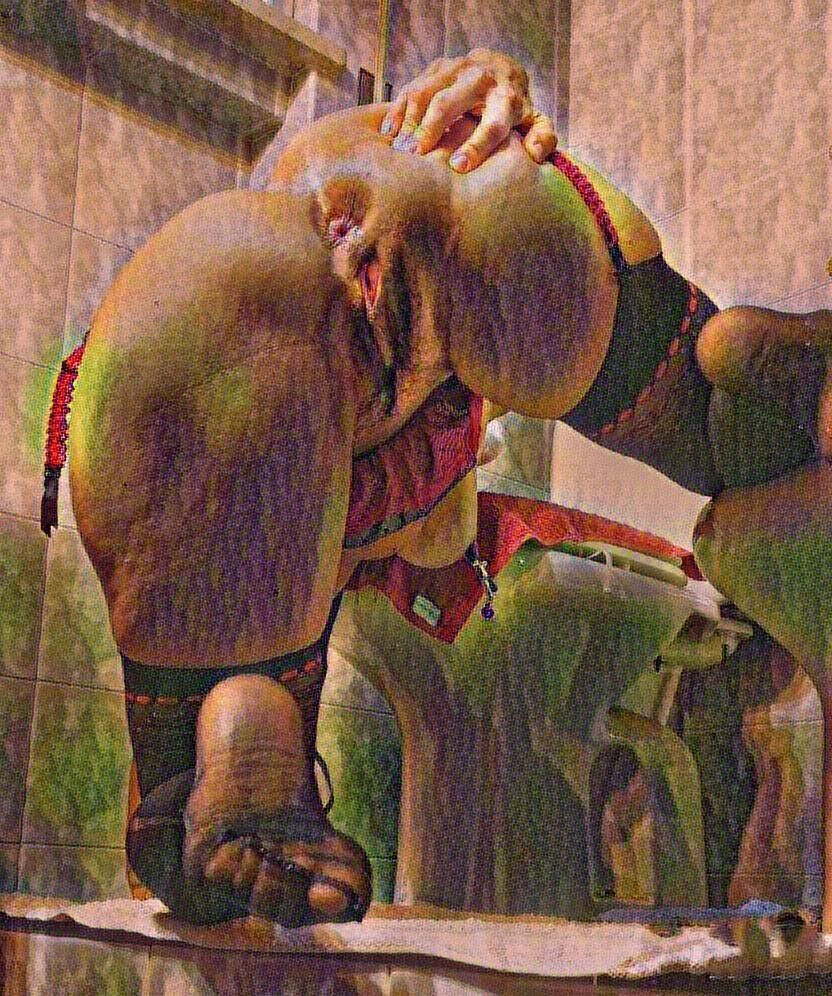 見上げて楽しんでください