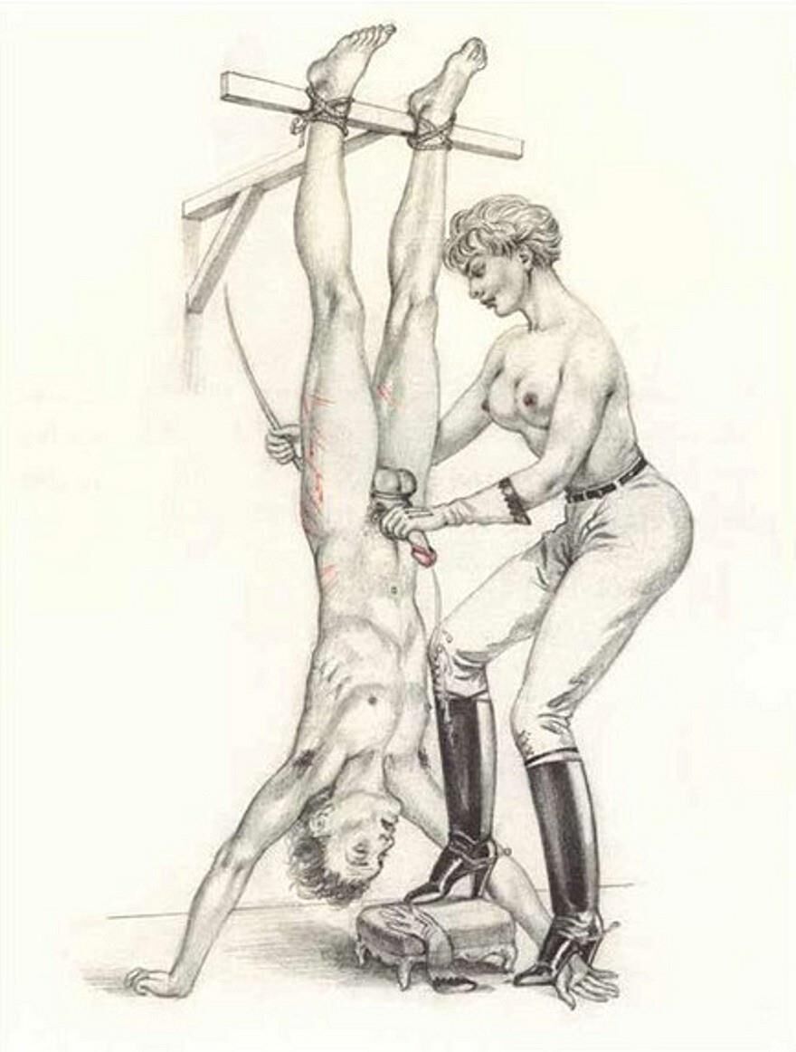 Рисунки