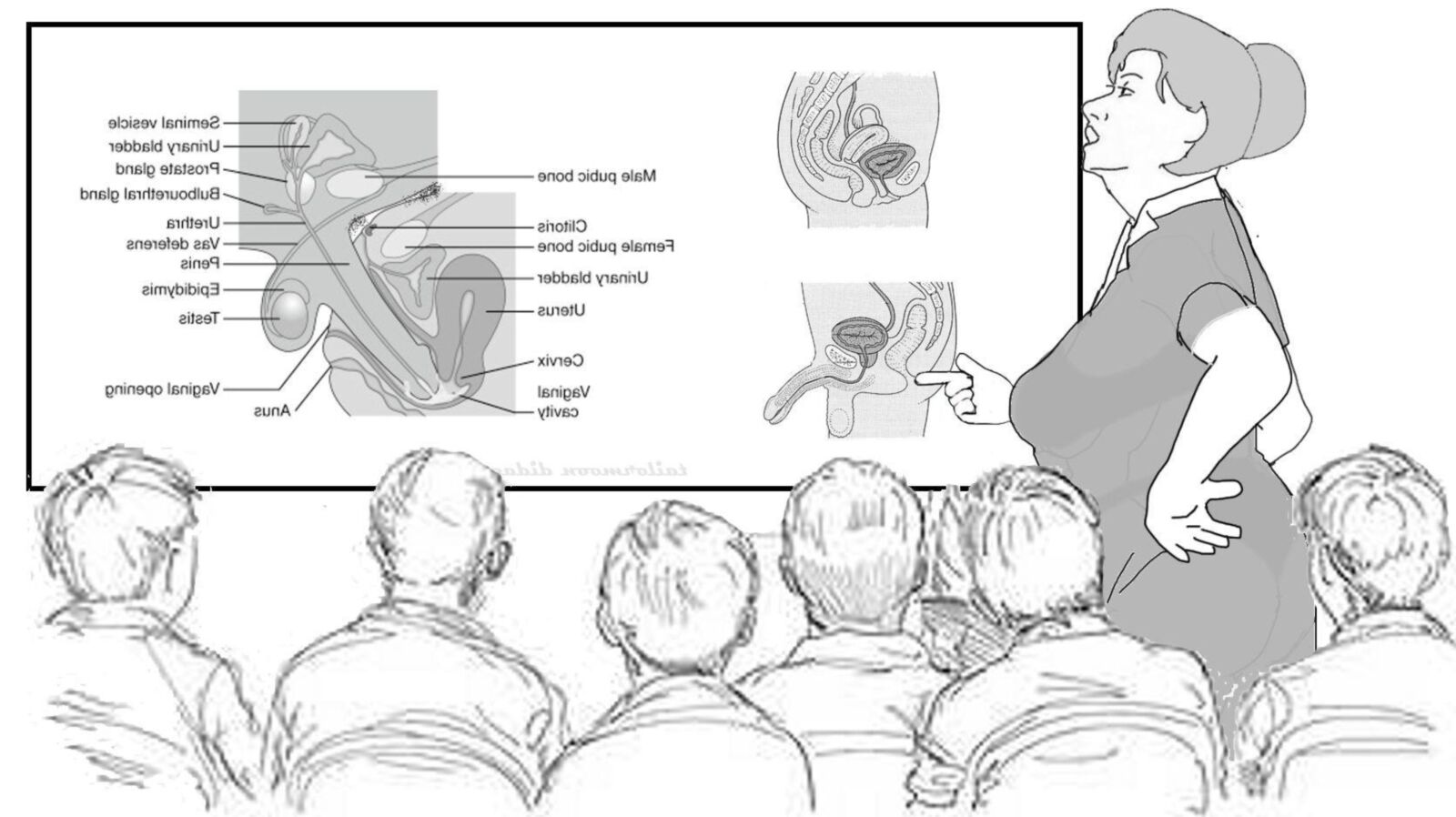 Drawings II