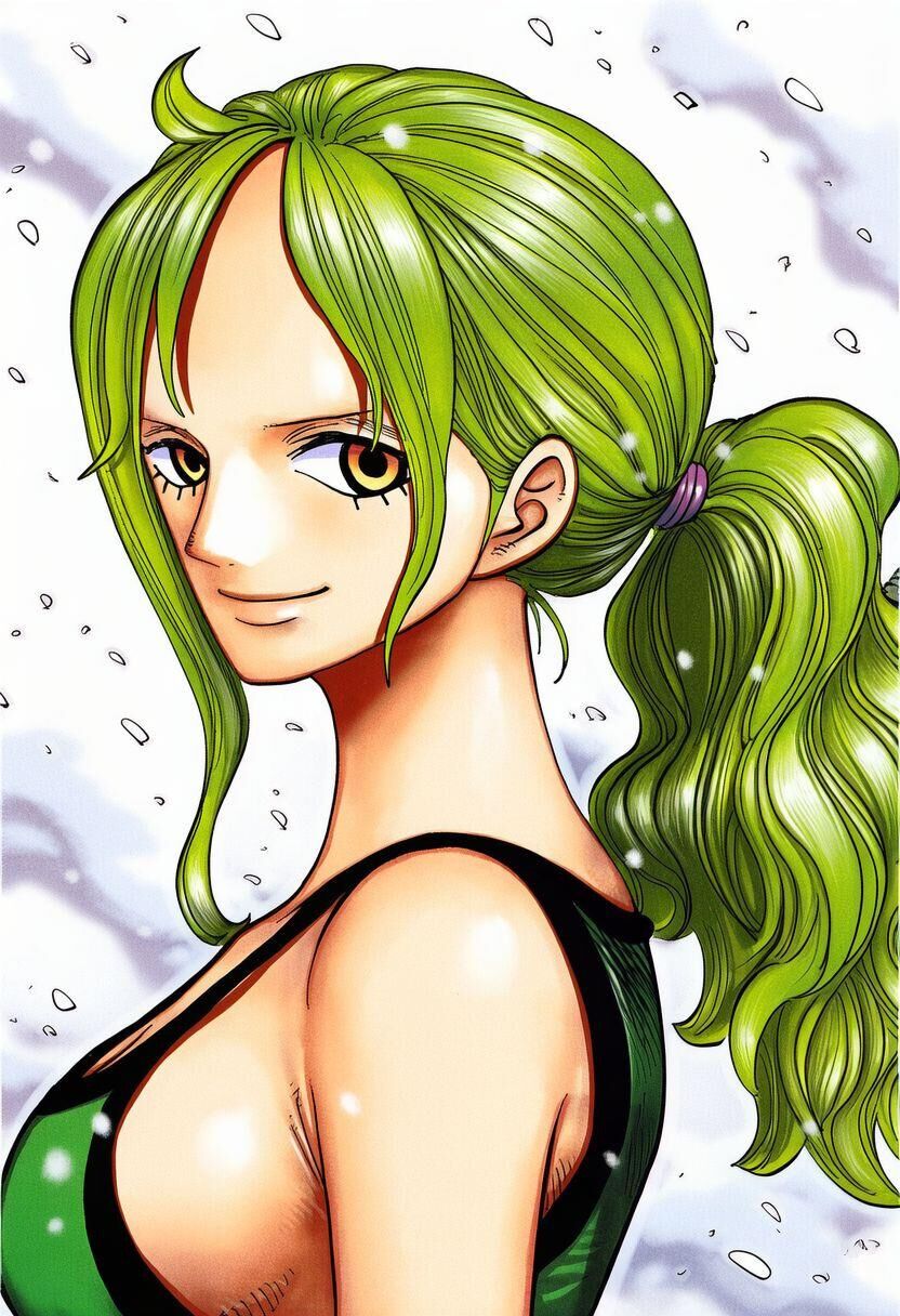 the sexy girls of one piece world