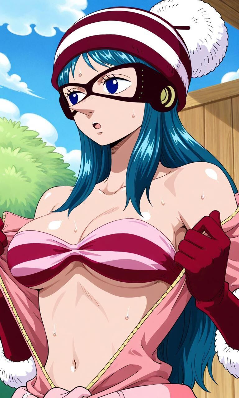 the sexy girls of one piece world