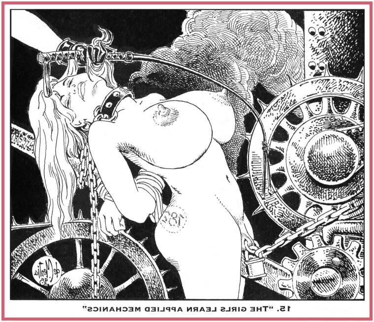 Cebo de la cárcel de demencia (los delincuentes femeninos vuelves a educar)