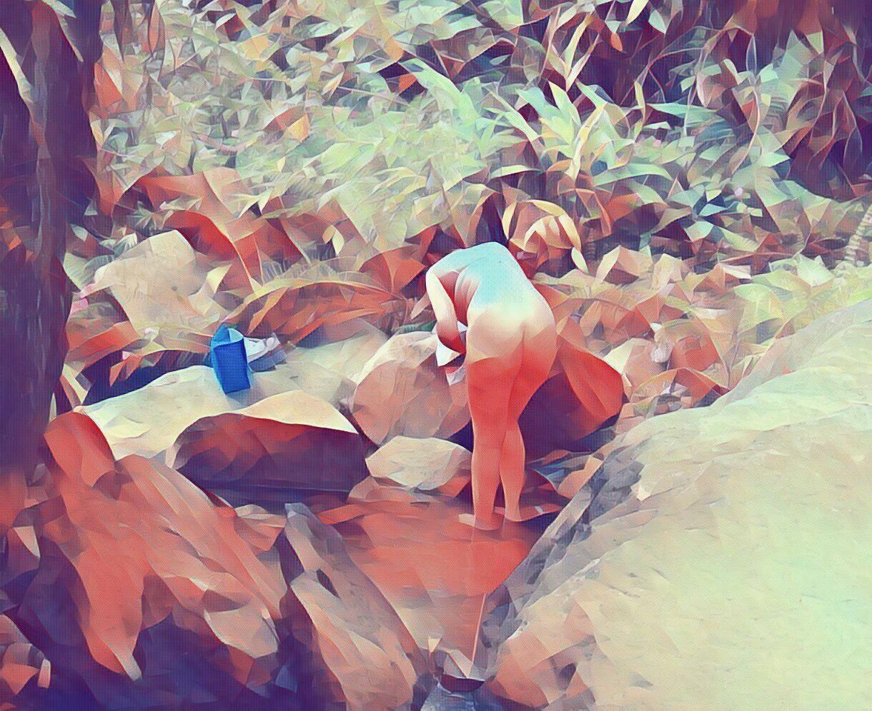 森の驚き