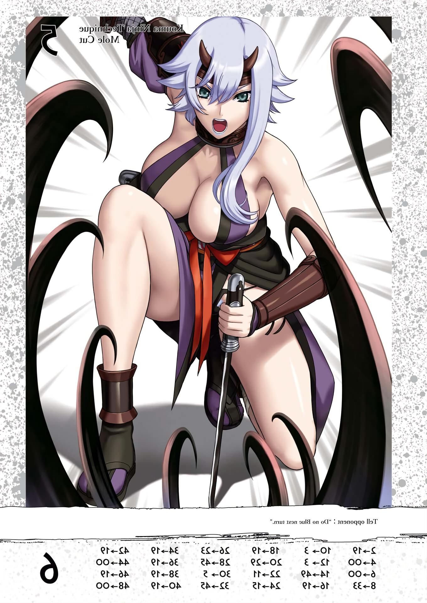 Queens Blade Shizuka Book Art