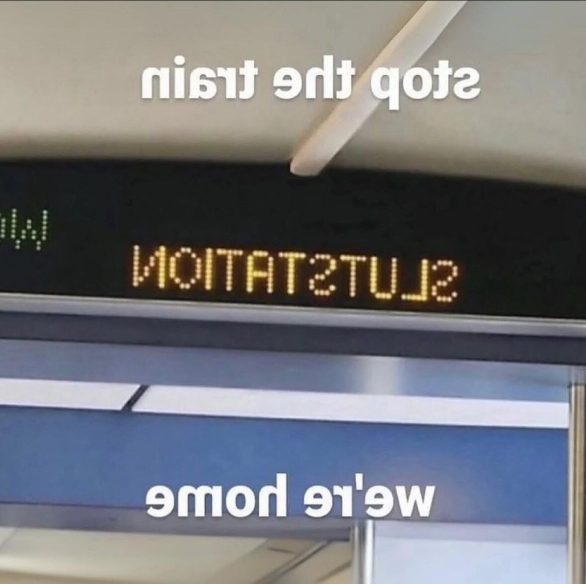 Merde drôle au hasard