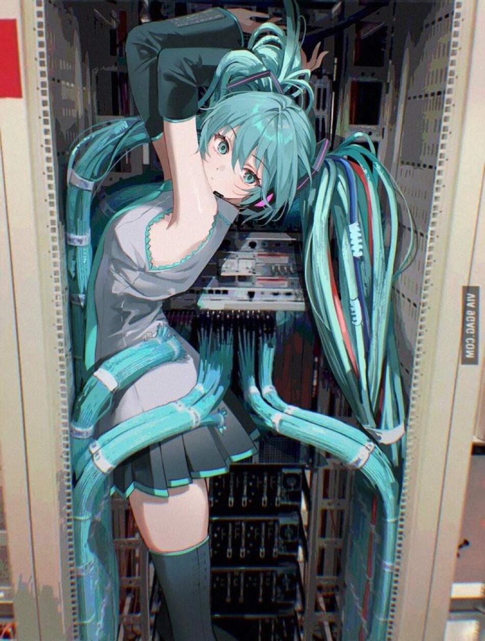 Anime Waifu Misc