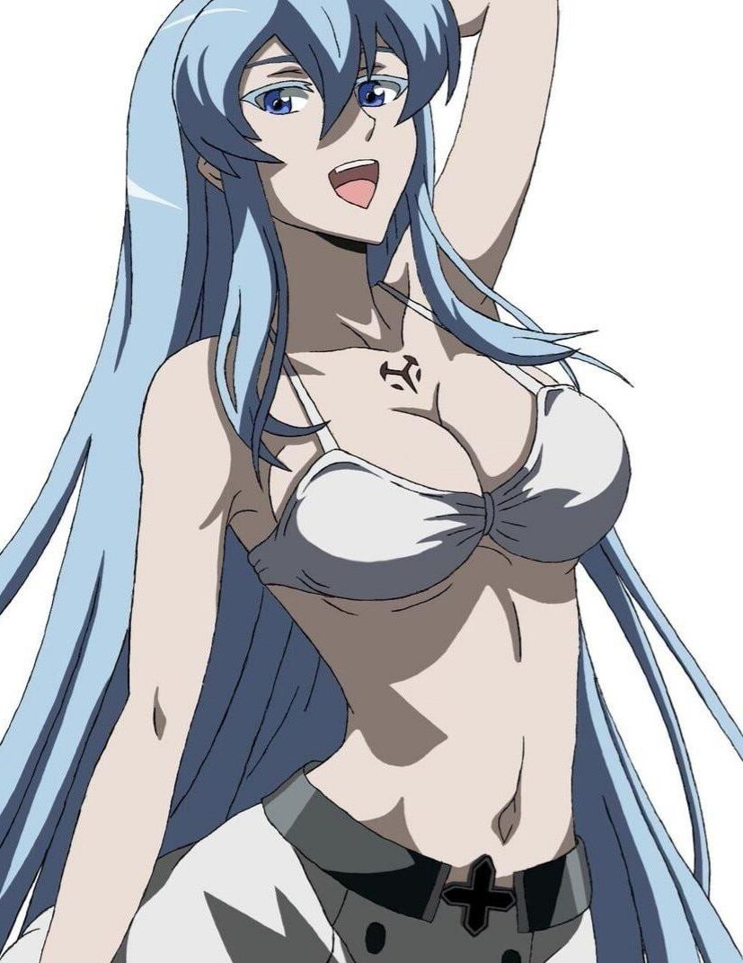 esdeath akame ga kill hentai