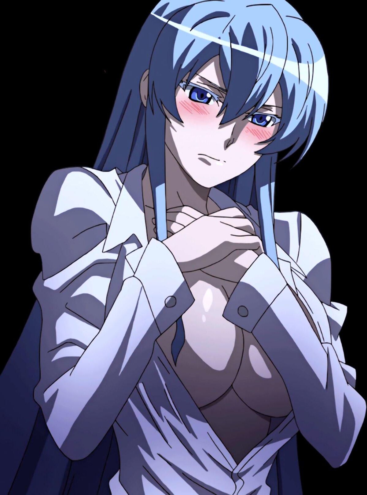esdeath akame ga kill hentai